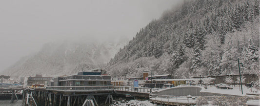 Alaska’s Wild Seafood: Species by Species