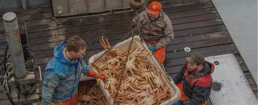 Processing, and how we deliver freshness