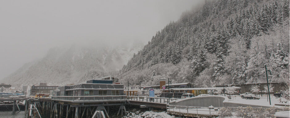 Alaska’s Wild Seafood: Species by Species