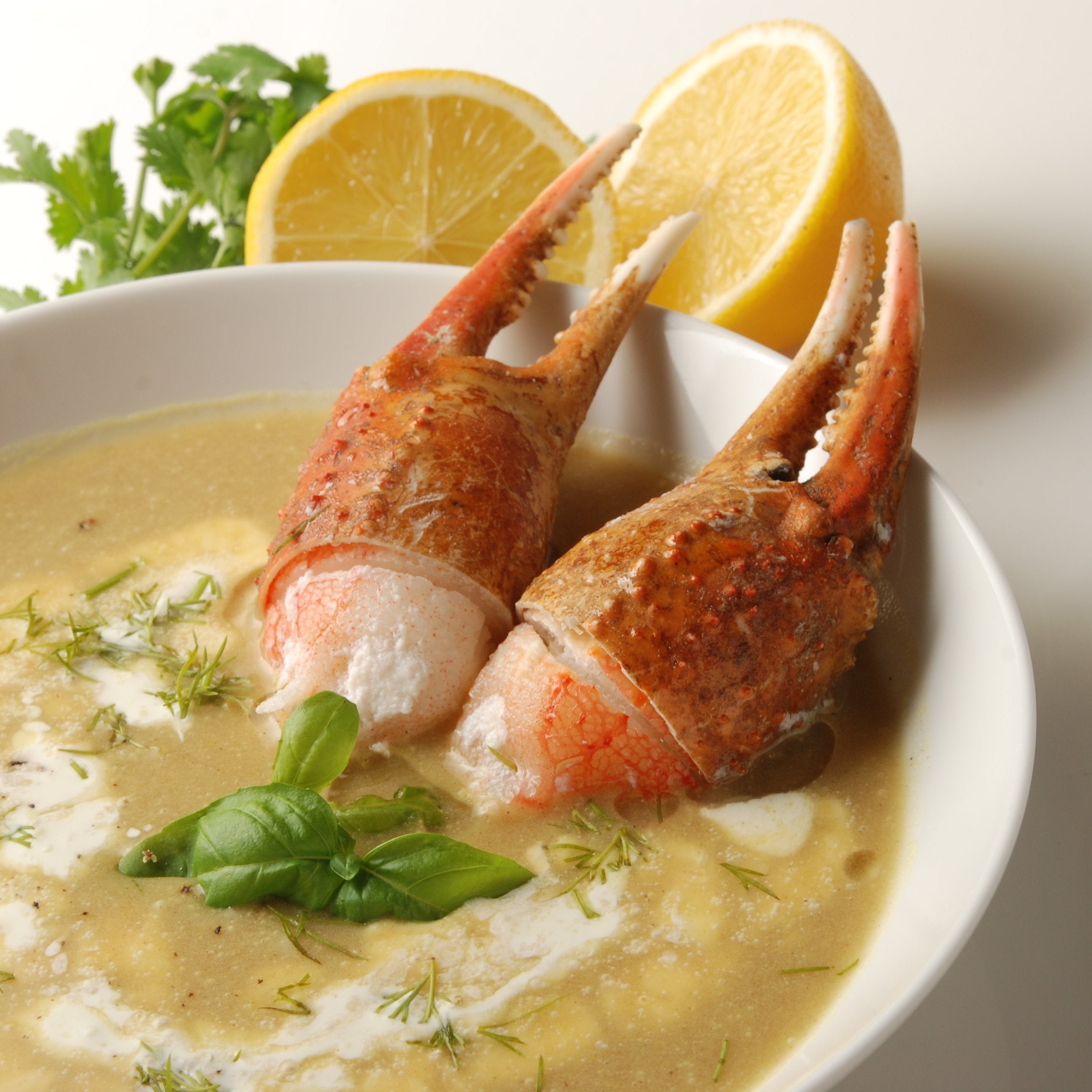 Wild Alaskan Snow Crab cocktail claws on ice