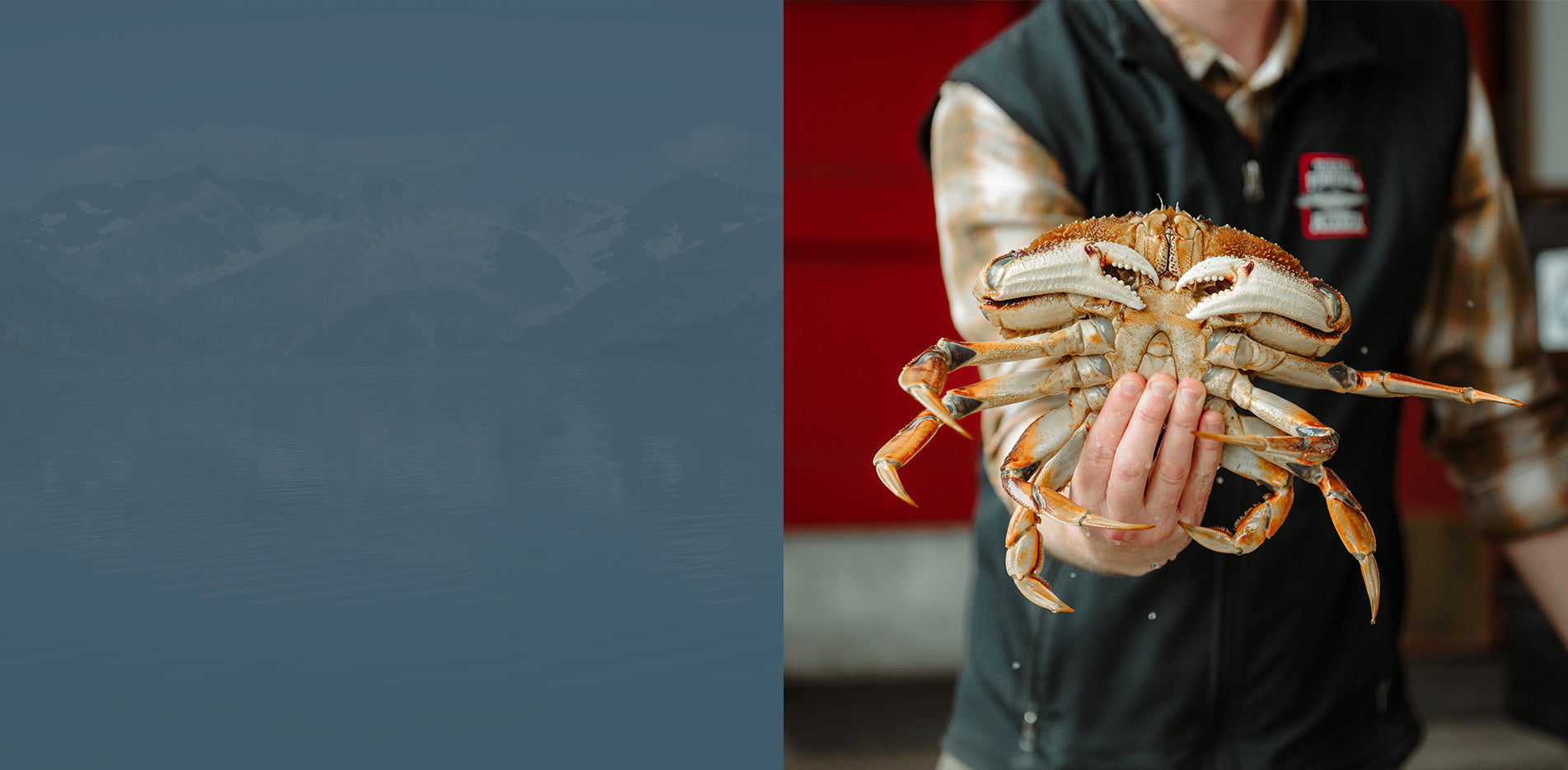 Buy Wild Alaskan Salmon and Seafood Products Online – Taku Store