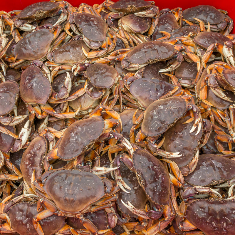 Dungeness crab clusters plated with lemon