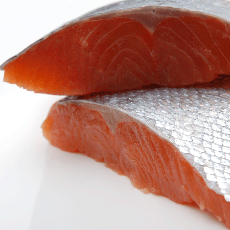 Raw King Salmon fillet portion, sashimi grade