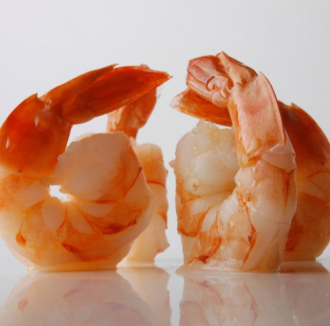 Cooked Spot Prawns close-up